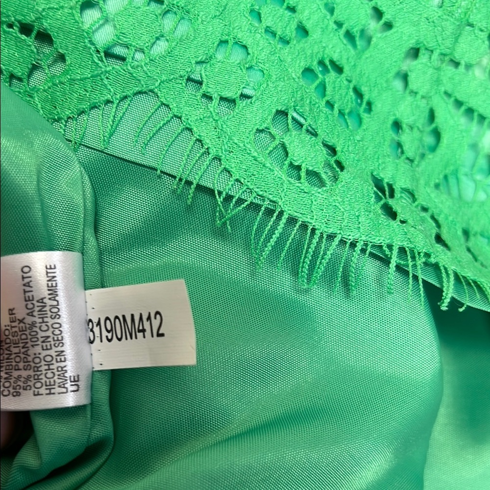 Antonio Melani Chic Green Lace Sleeveless Dress with Eyelash trim Size 12 - Picture 12 of 12